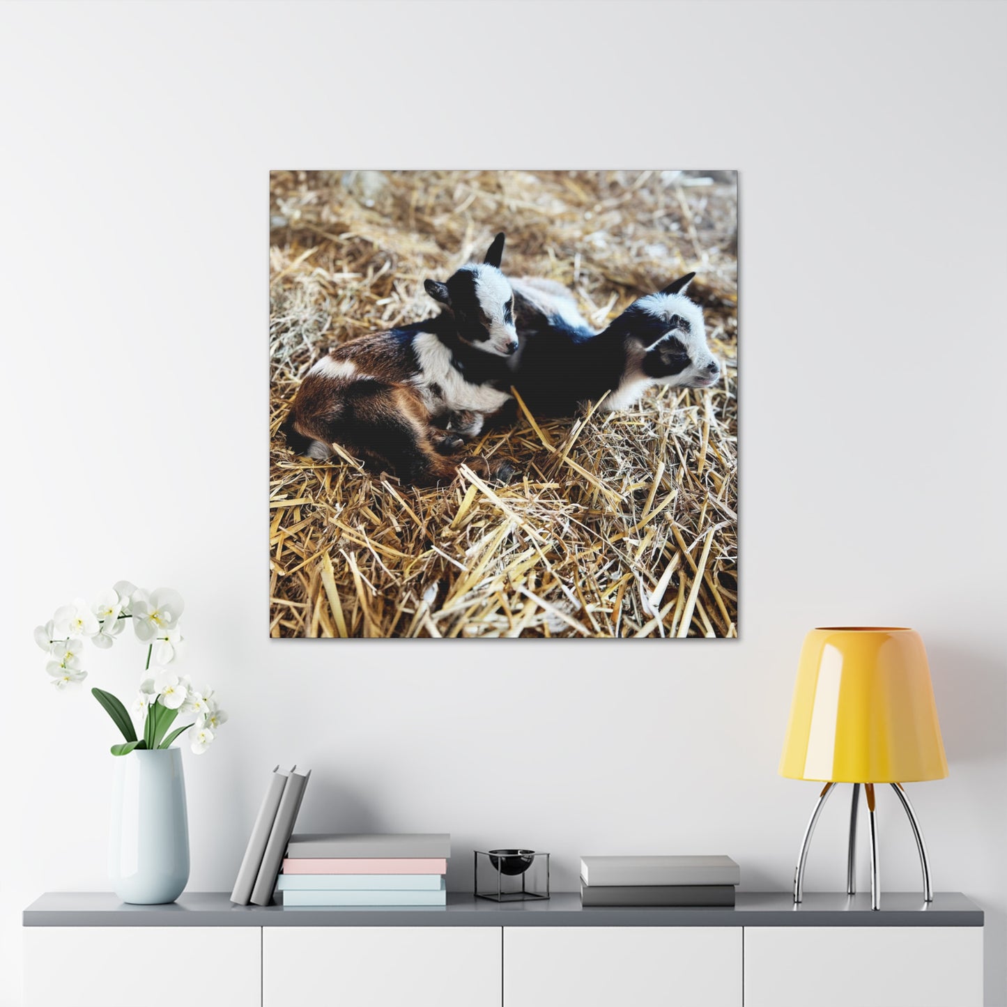 Goats - Gallery Canvas