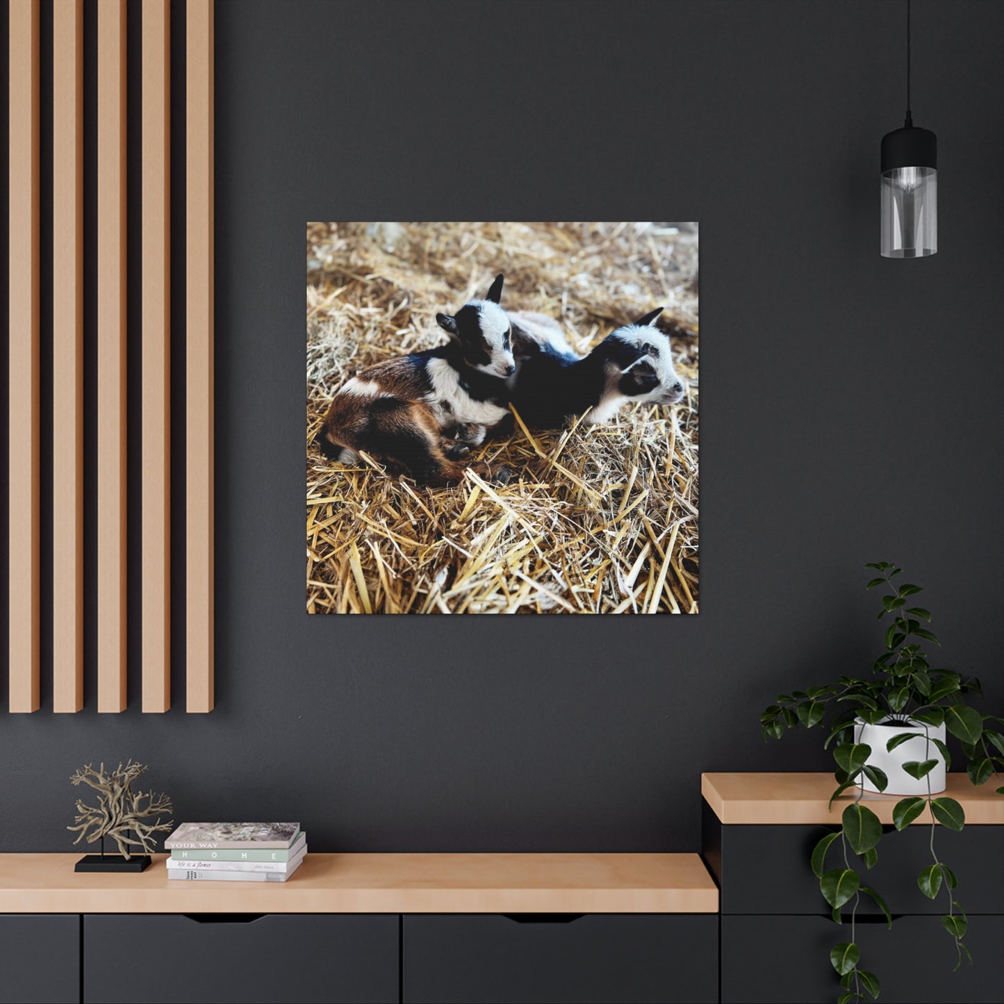 Goats - Gallery Canvas