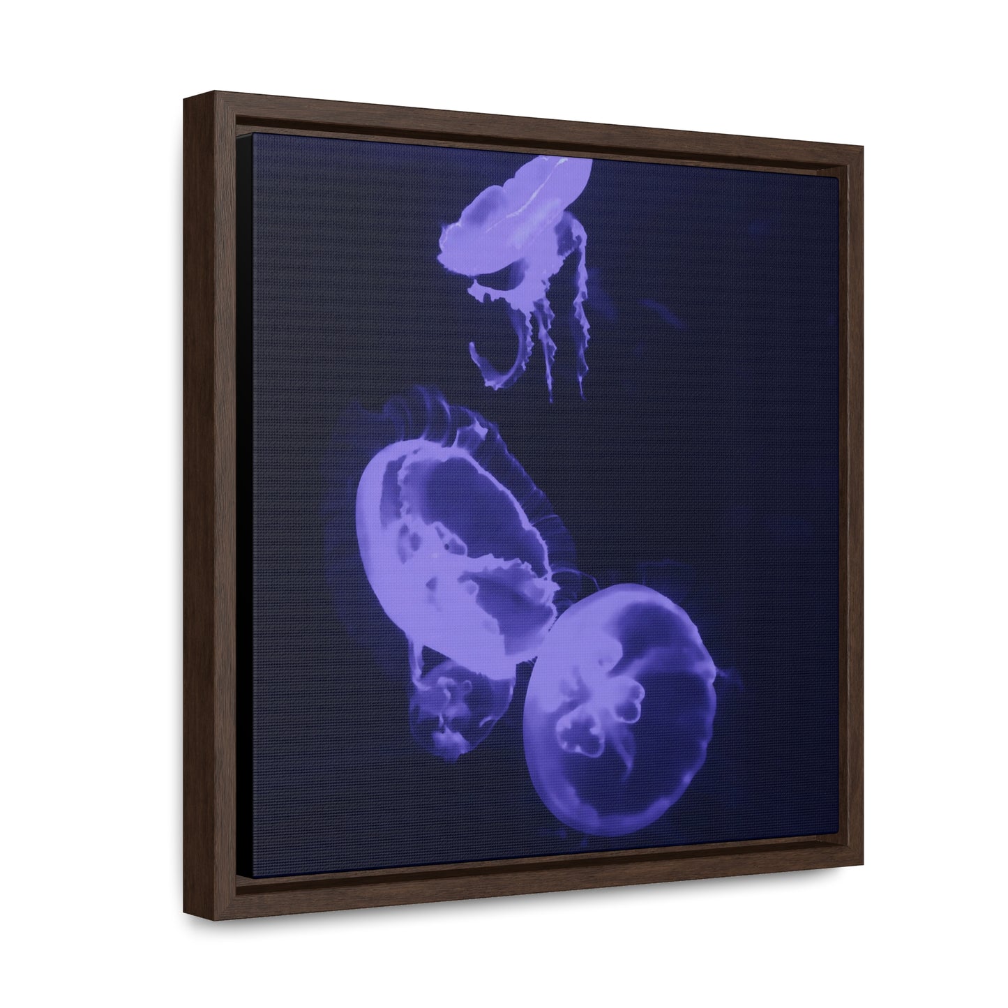 Moon Jelly 01 - Framed Gallery Canvas