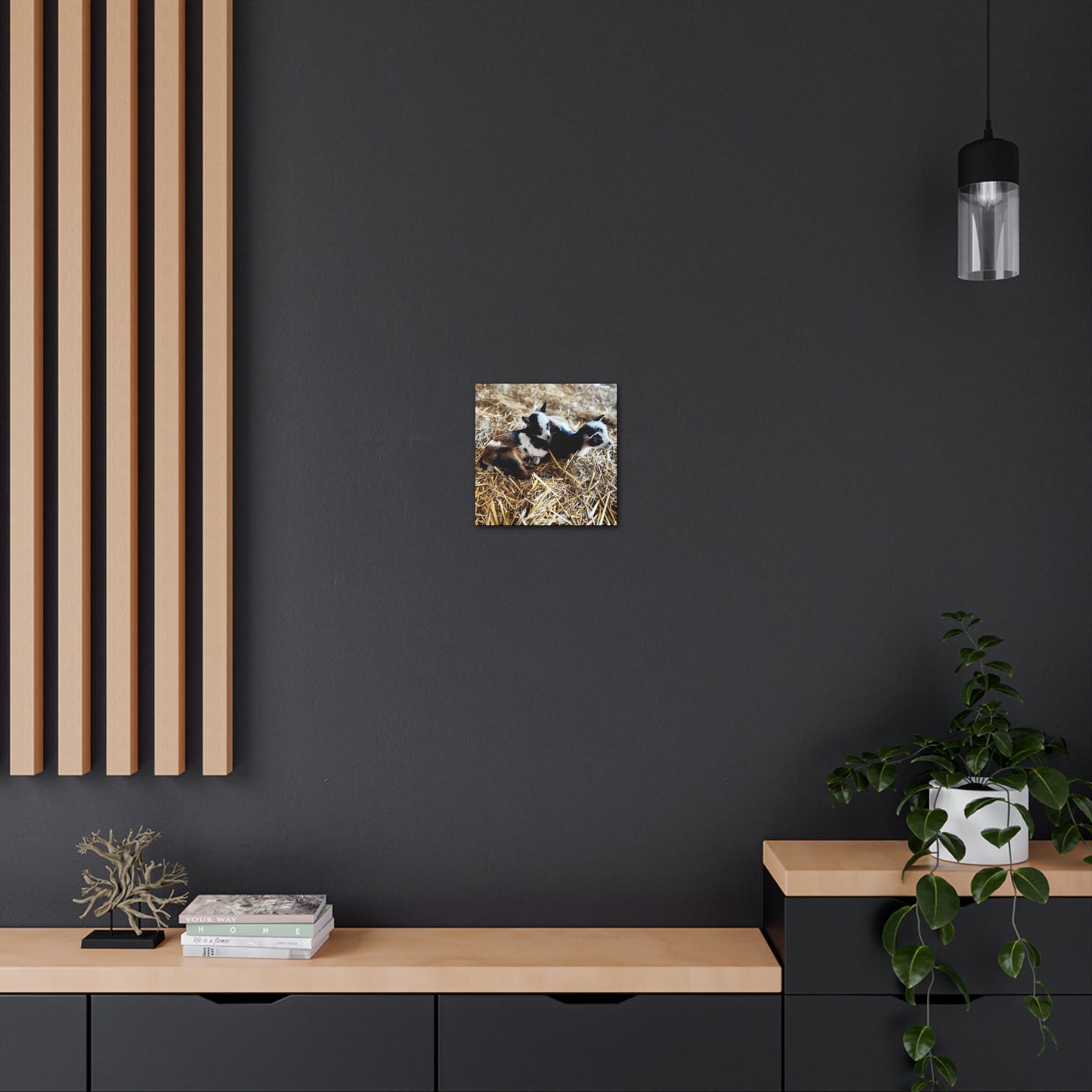 Goats - Gallery Canvas