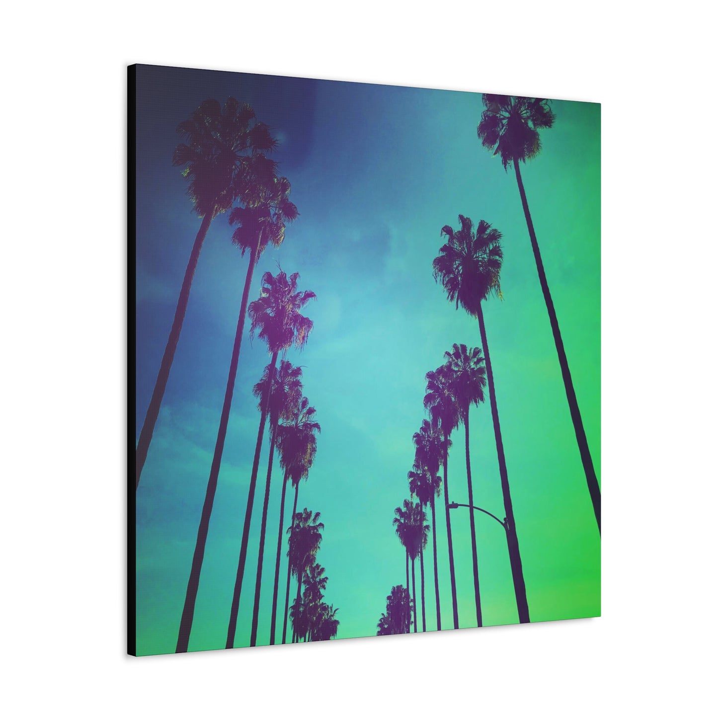 Bel Air Palm Trees - Gallery Canvas