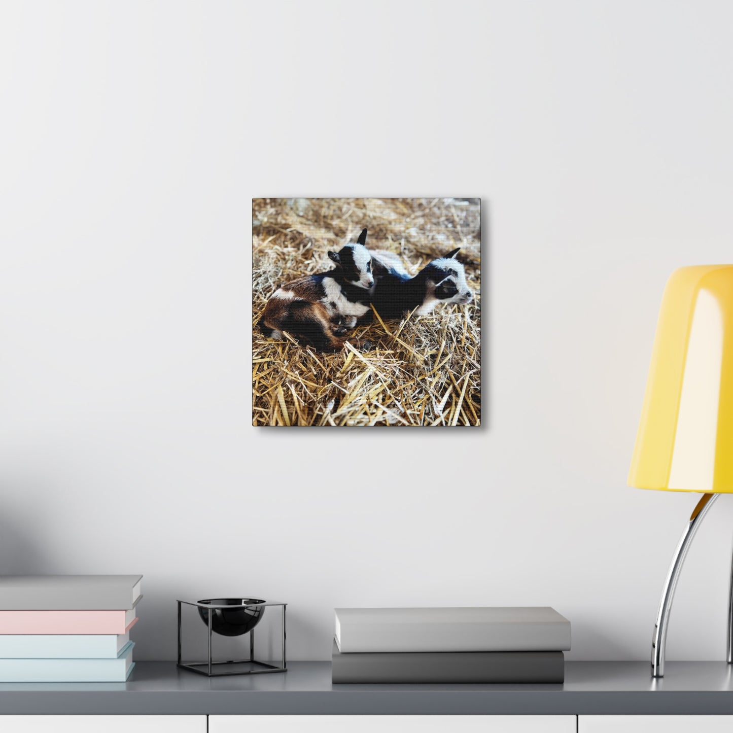 Goats - Gallery Canvas