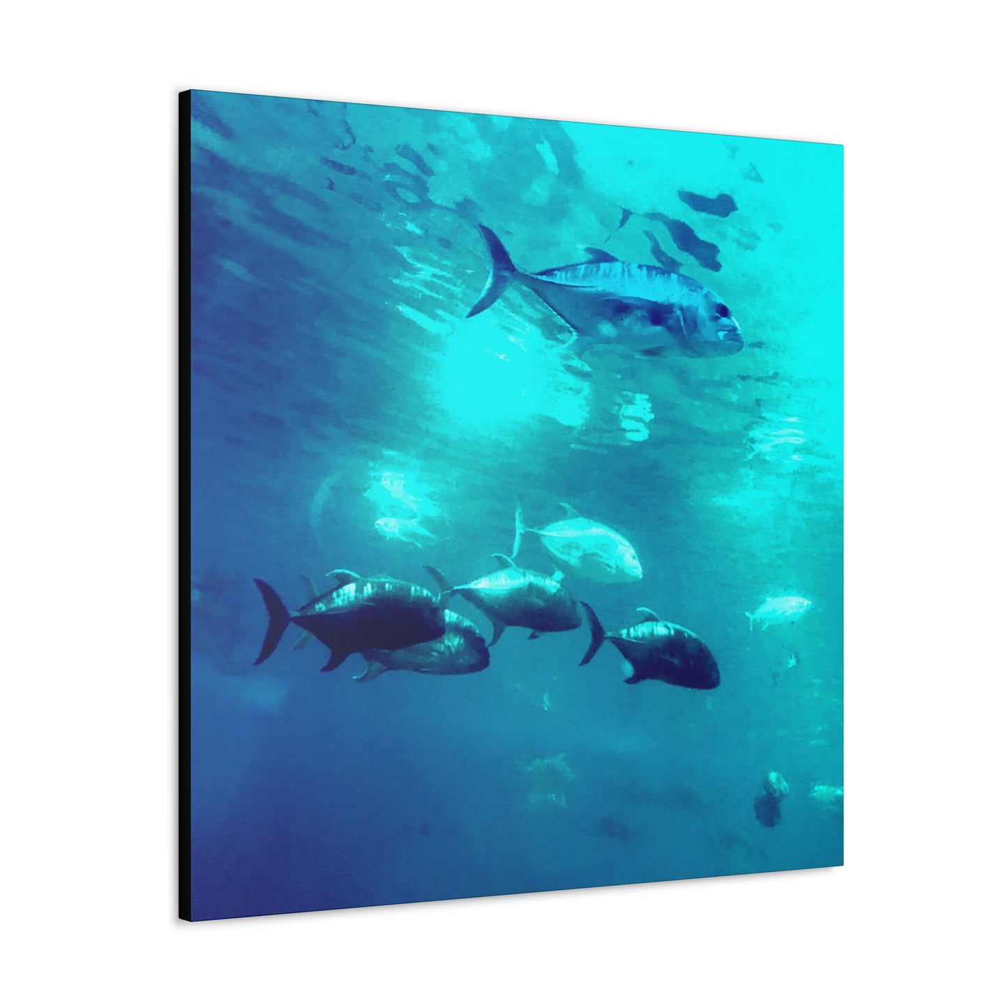 Fish Family - Gallery Canvas