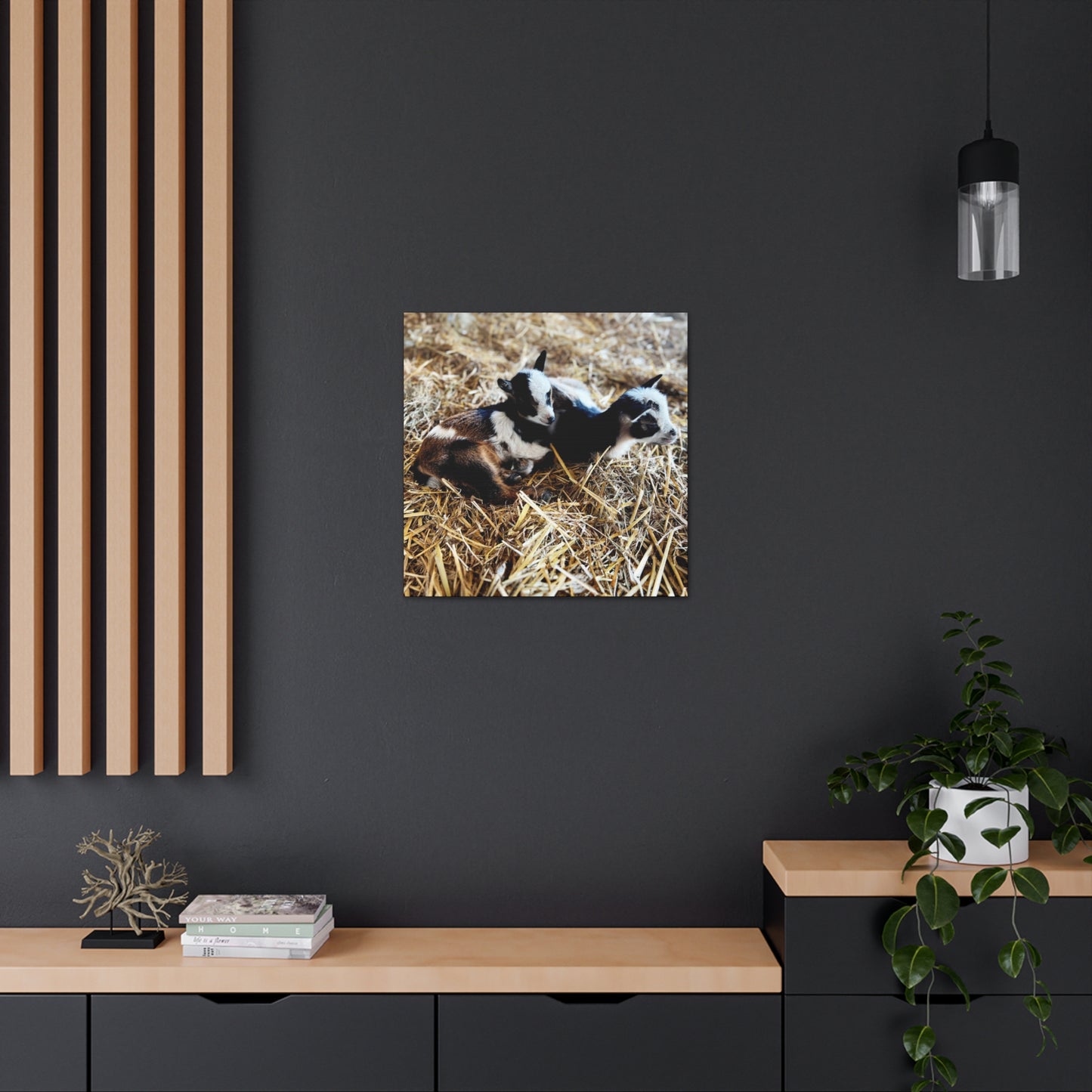 Goats - Gallery Canvas