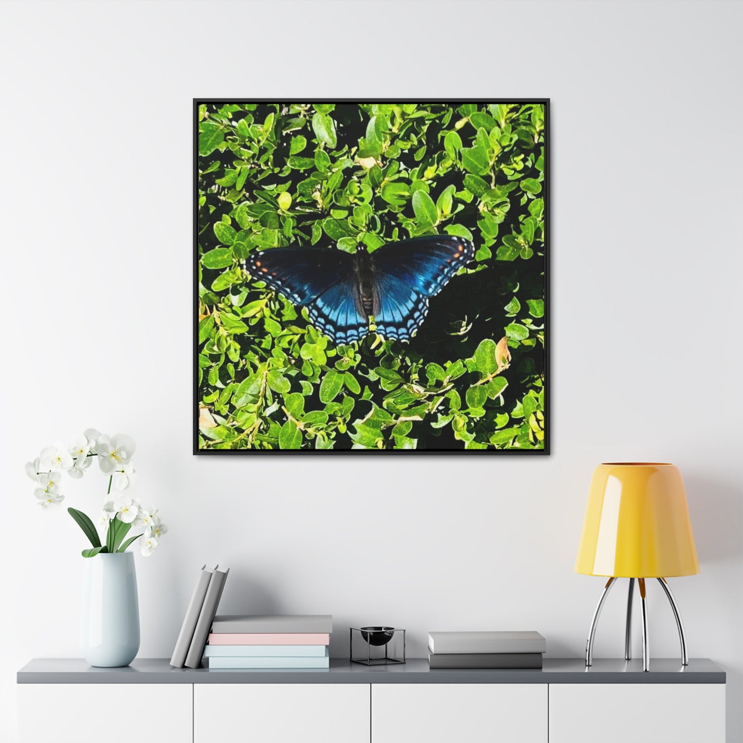 Mariposa Blue Butterfly - Framed Gallery Canvas