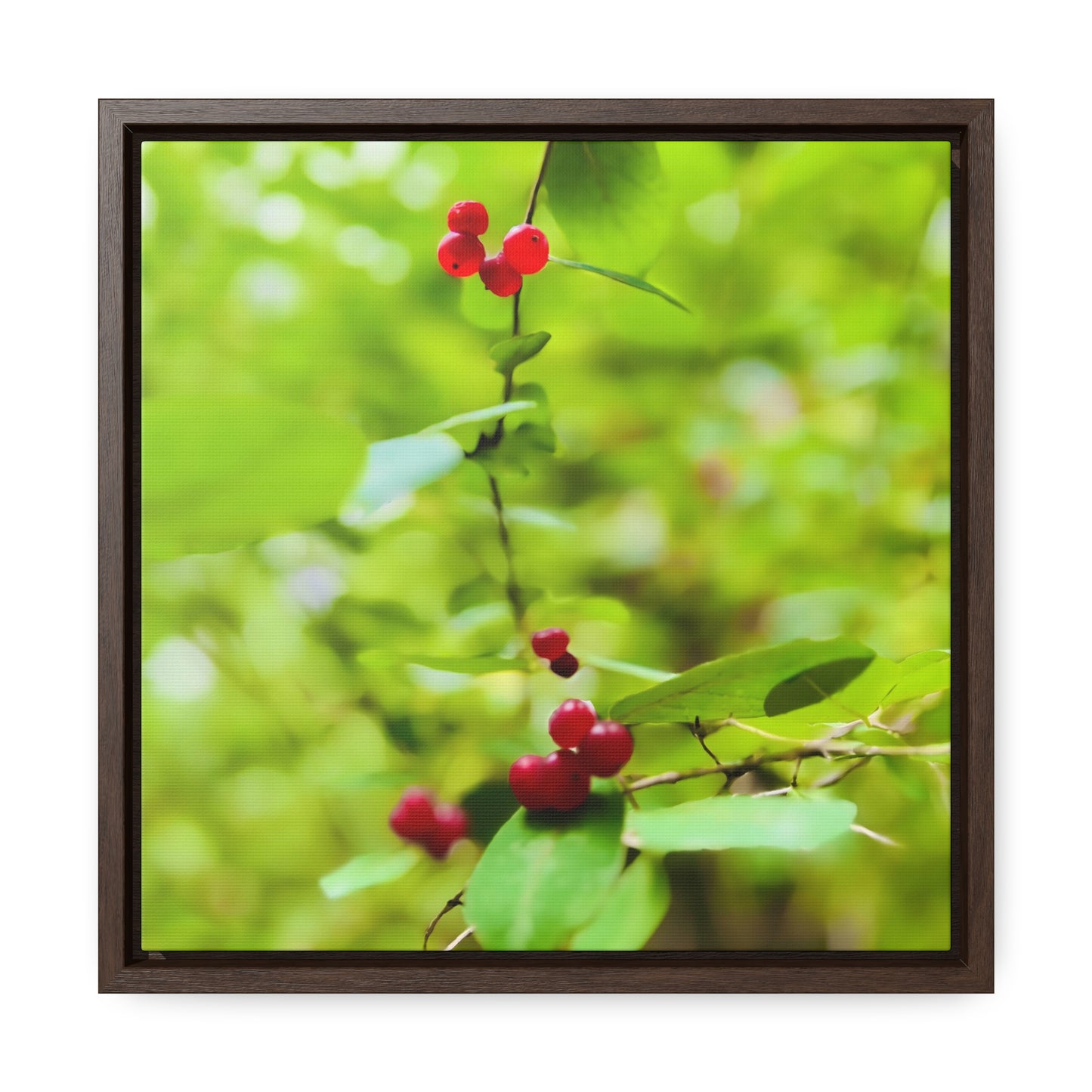 Wildberries - Framed Gallery Canvas