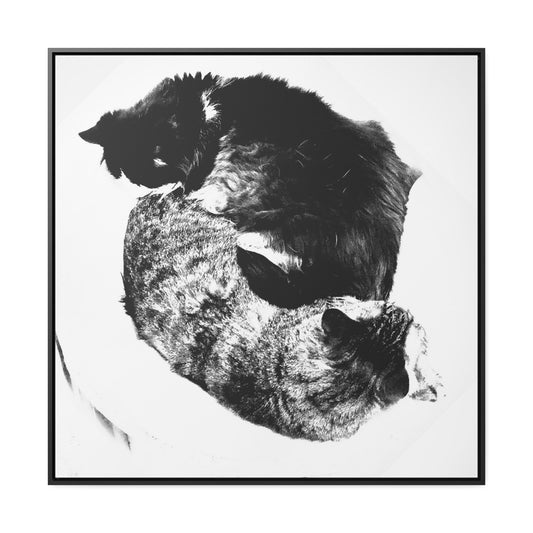 Cats Yin and Yang - Framed Gallery Canvas