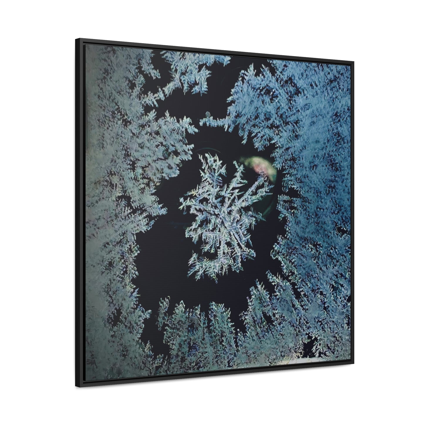 Frost - Framed Gallery Canvas