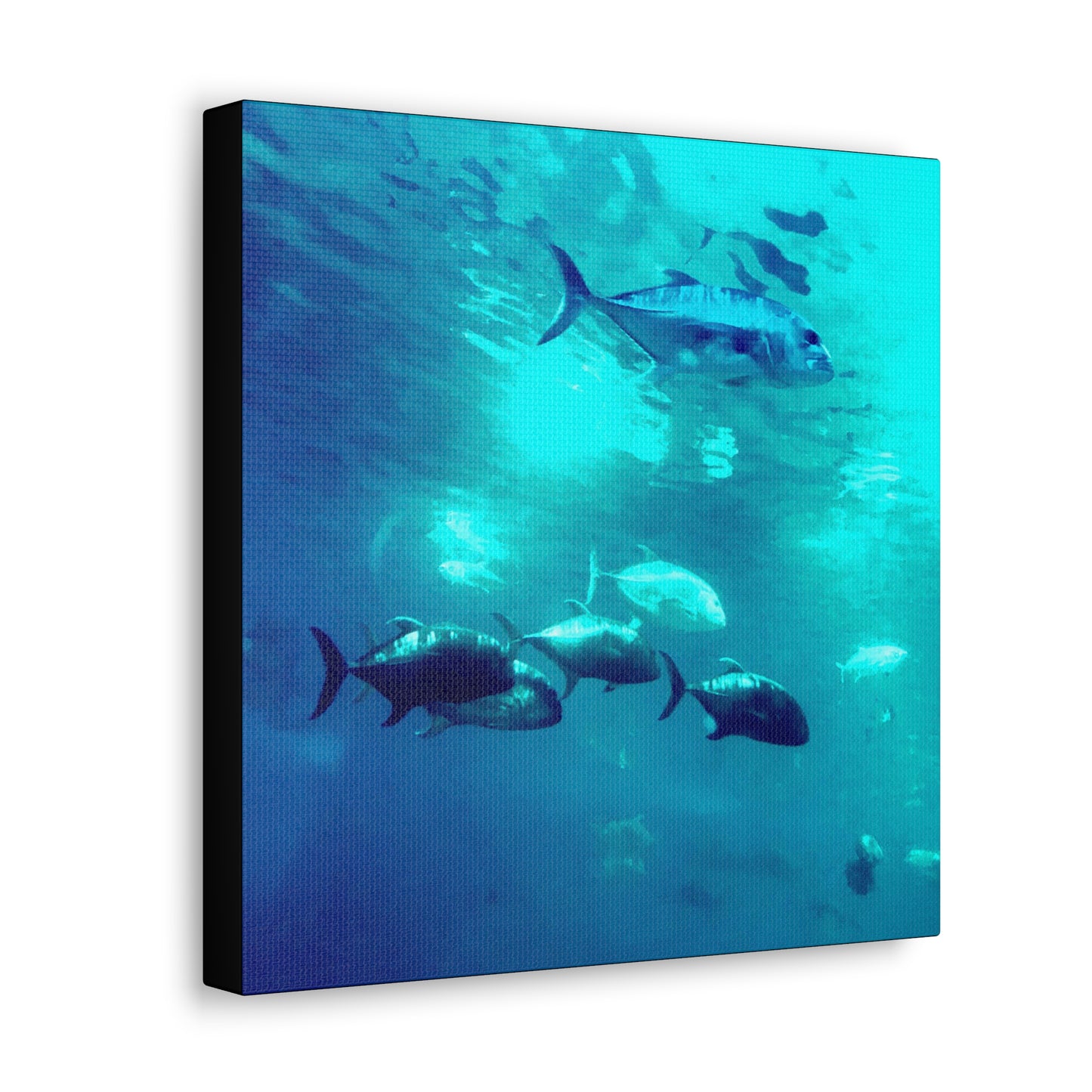 Fish Family - Gallery Canvas