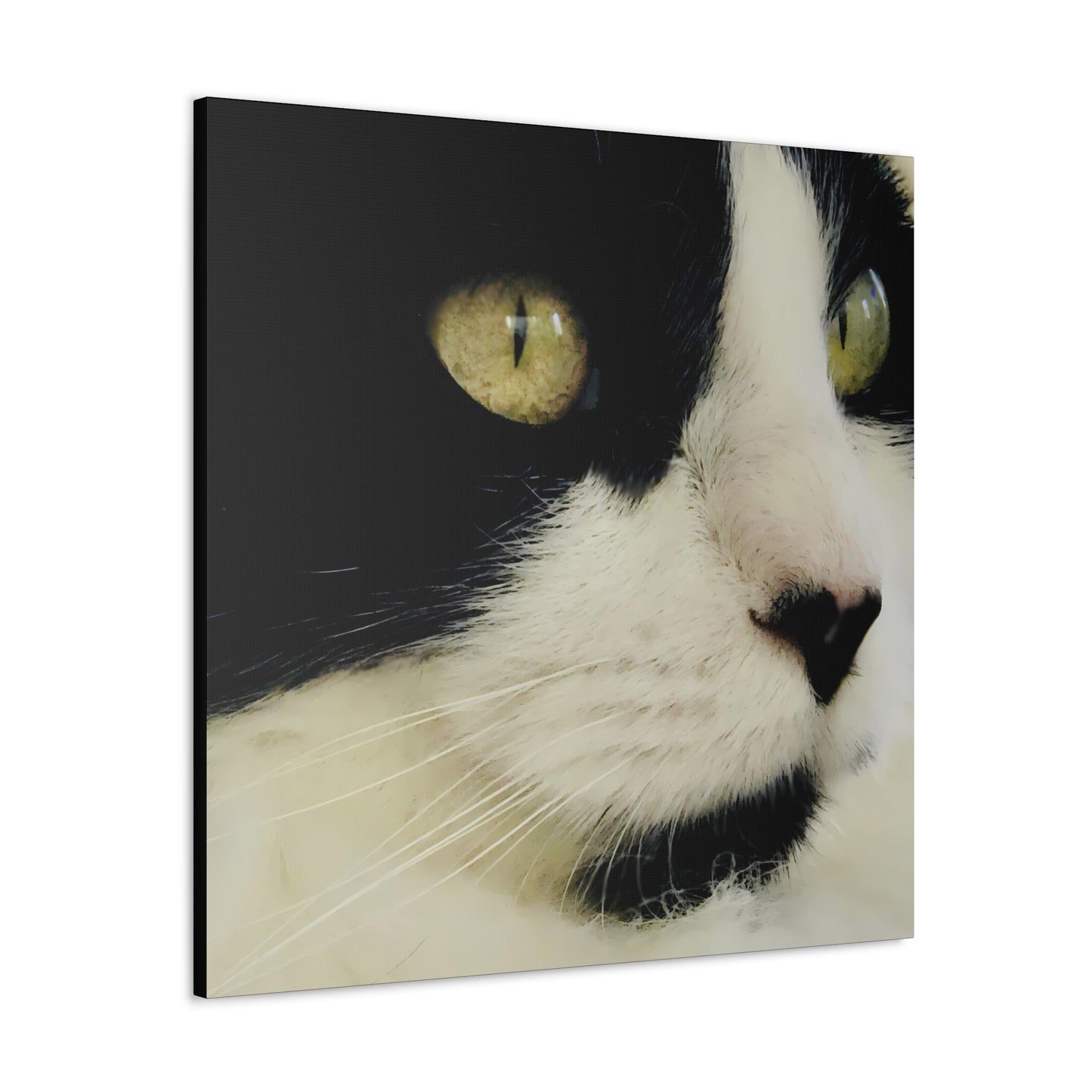 Cat Eyes - Gallery Canvas