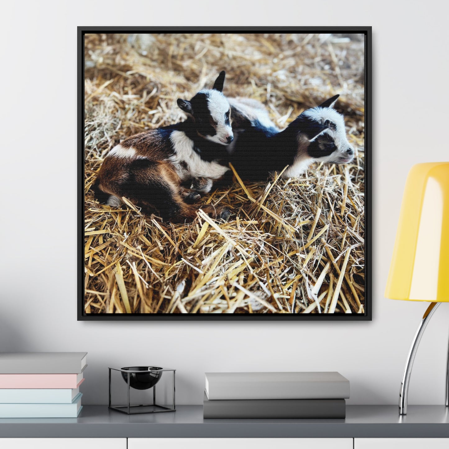 Goats - Framed Gallery Canvas