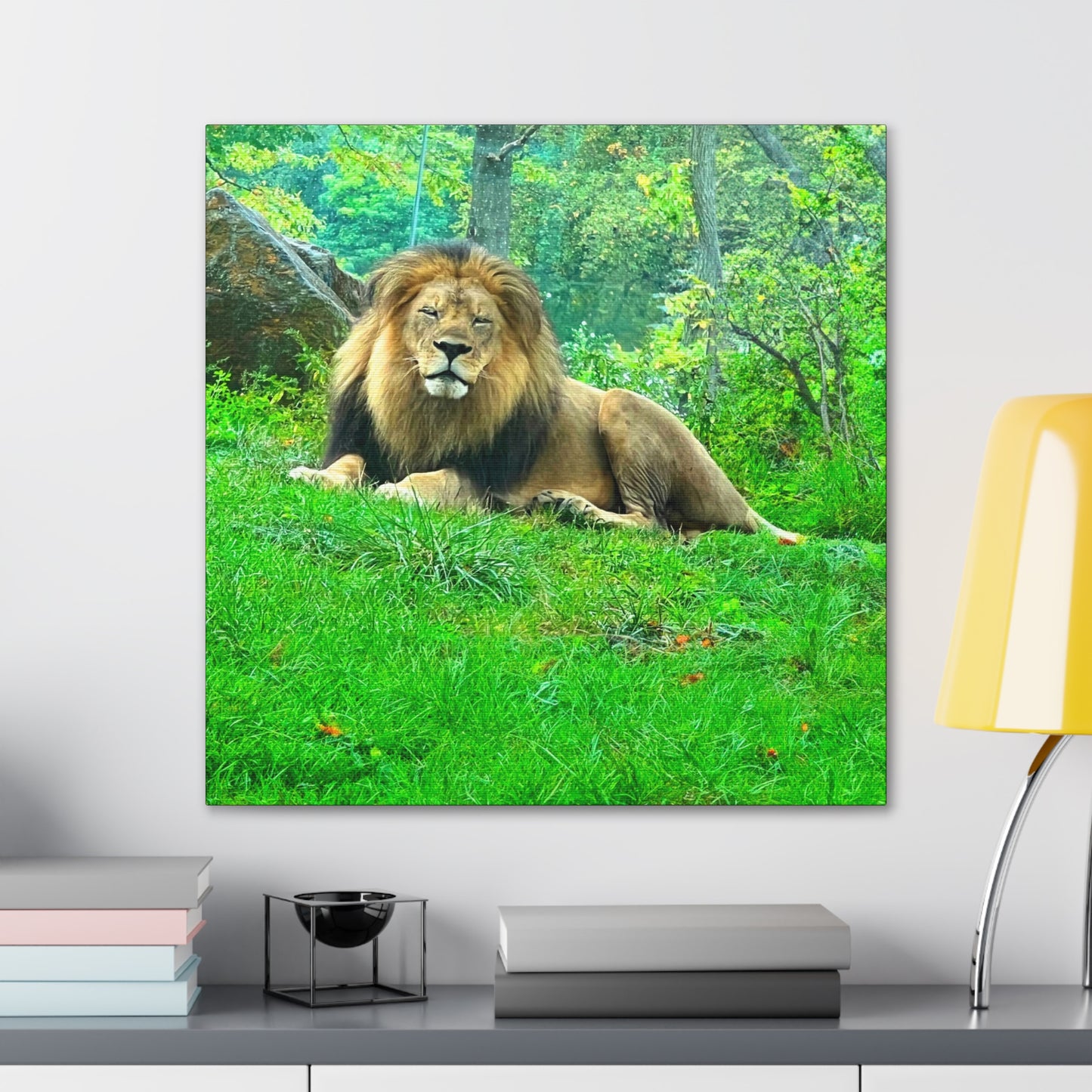 Lion - Gallery Canvas