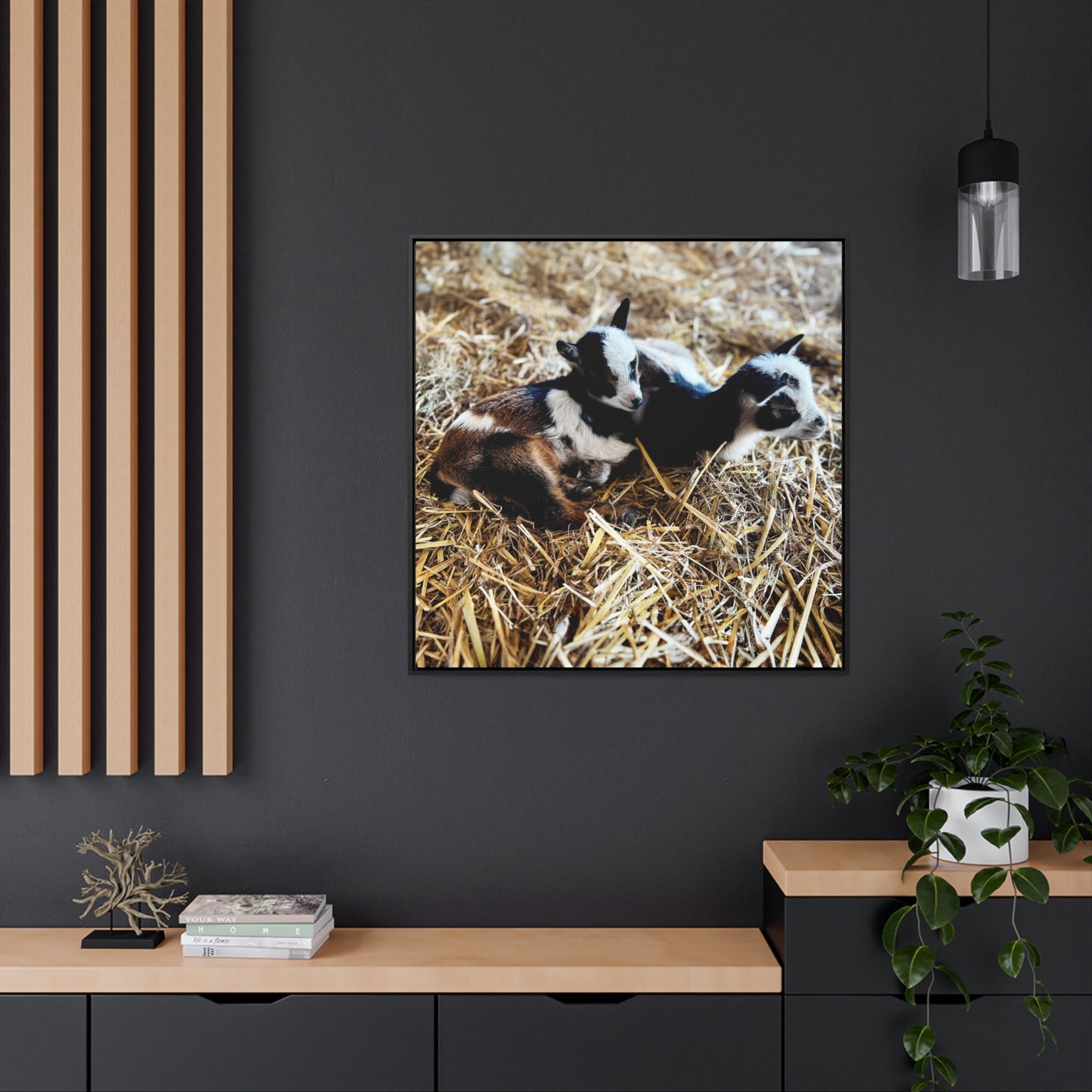 Goats - Framed Gallery Canvas