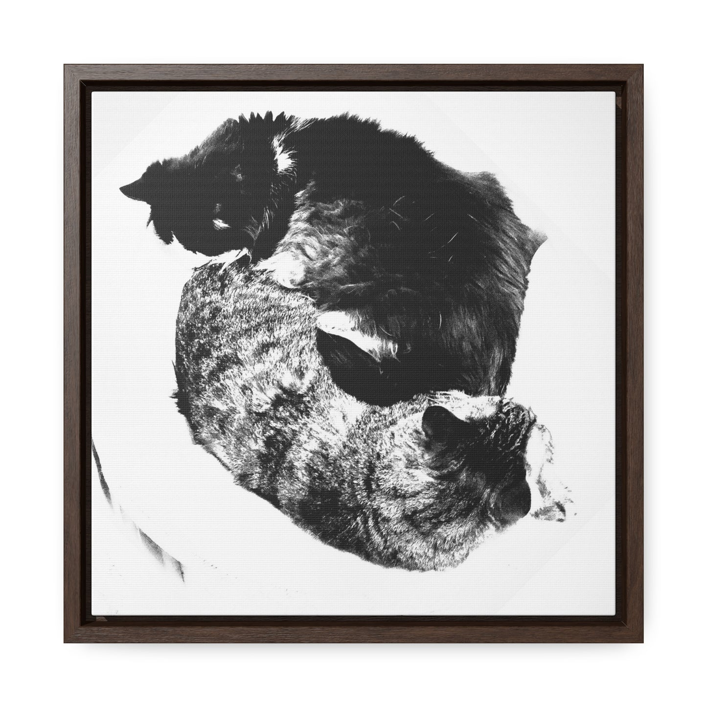 Cats Yin and Yang - Framed Gallery Canvas