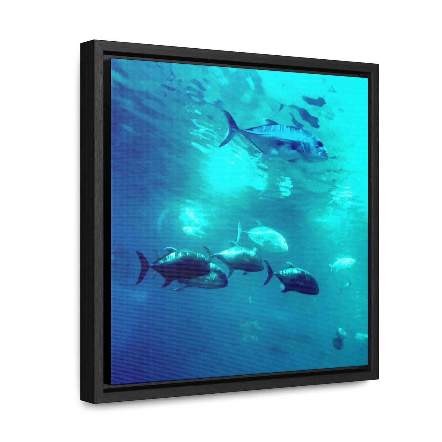 Fish Family - Framed Gallery Canvas