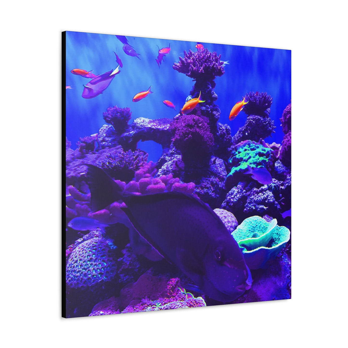 Fish - Gallery Canvas