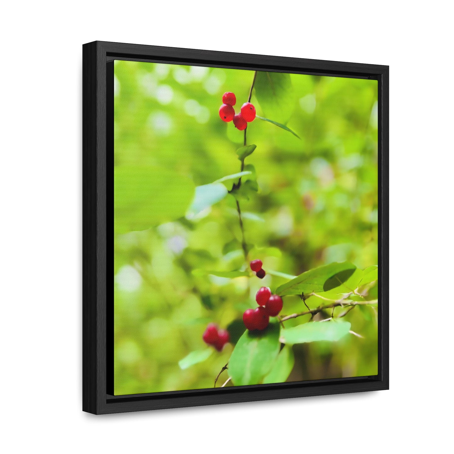 Wildberries - Framed Gallery Canvas