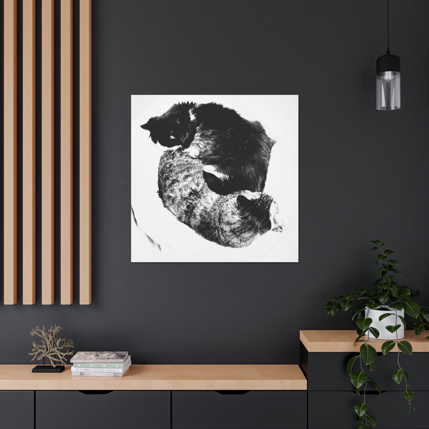 Cats Yin and Yang - Gallery Canvas