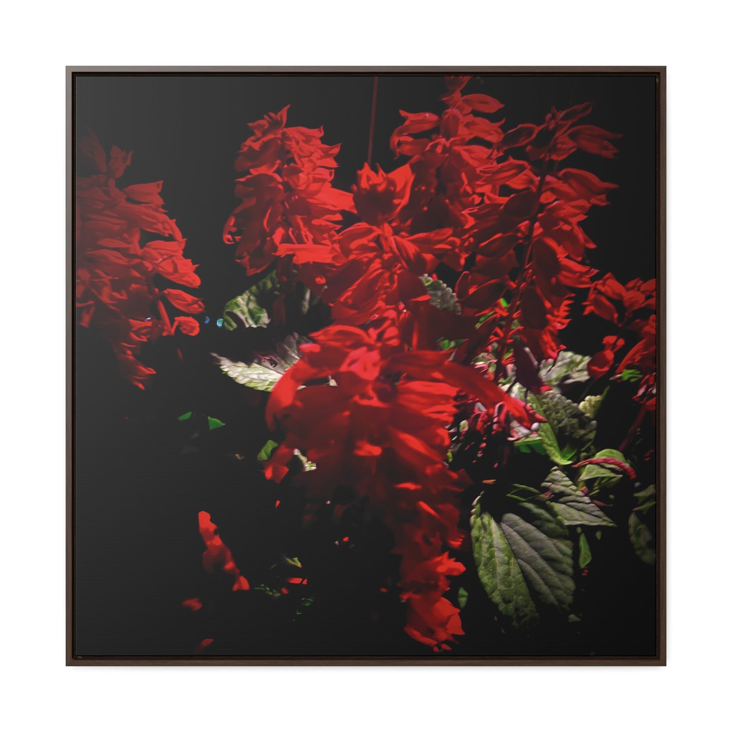 Red Flowers - Framed Gallery Canvas