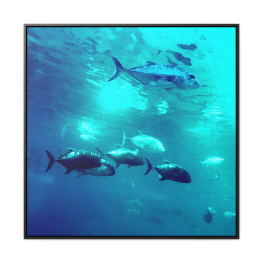 Fish Family - Framed Gallery Canvas