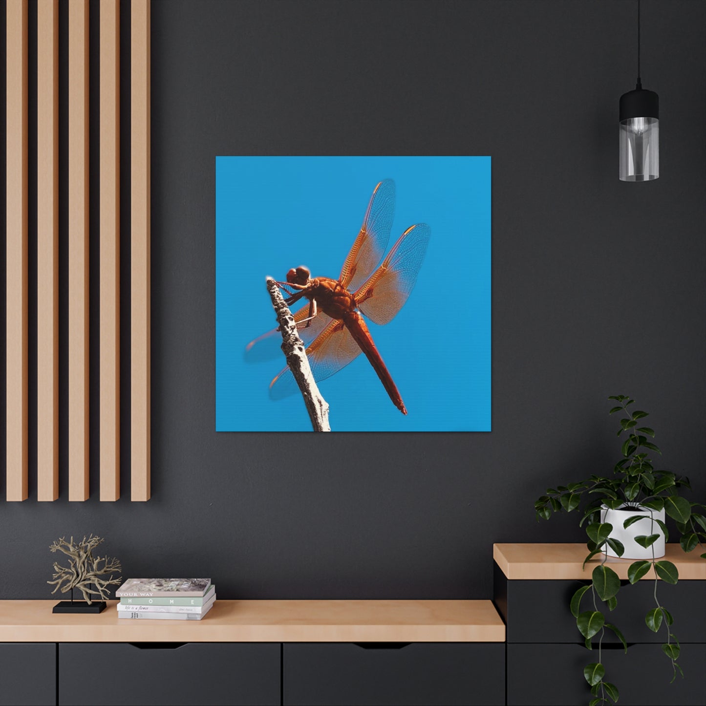 Dragonfly - Gallery Canvas