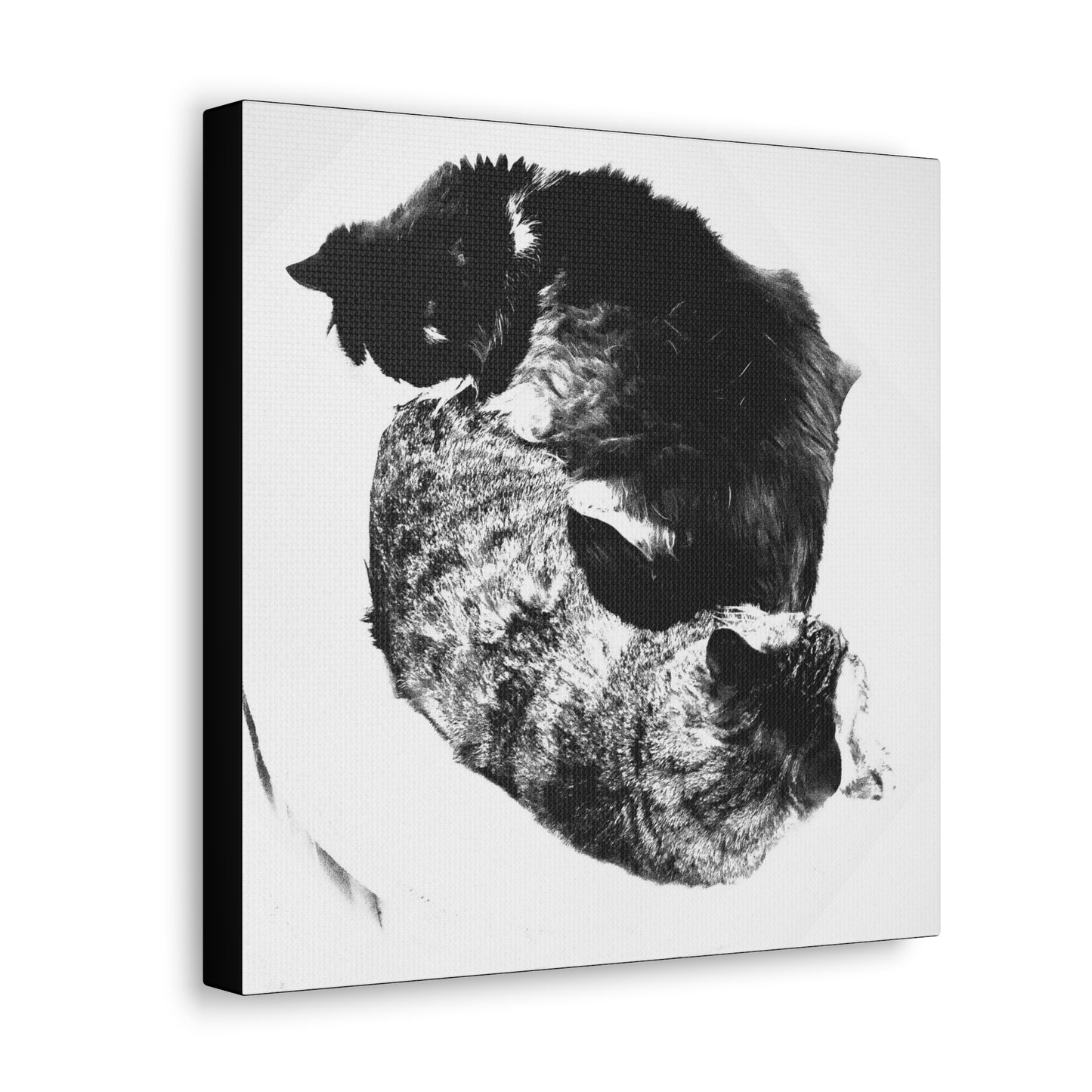 Cats Yin and Yang - Gallery Canvas