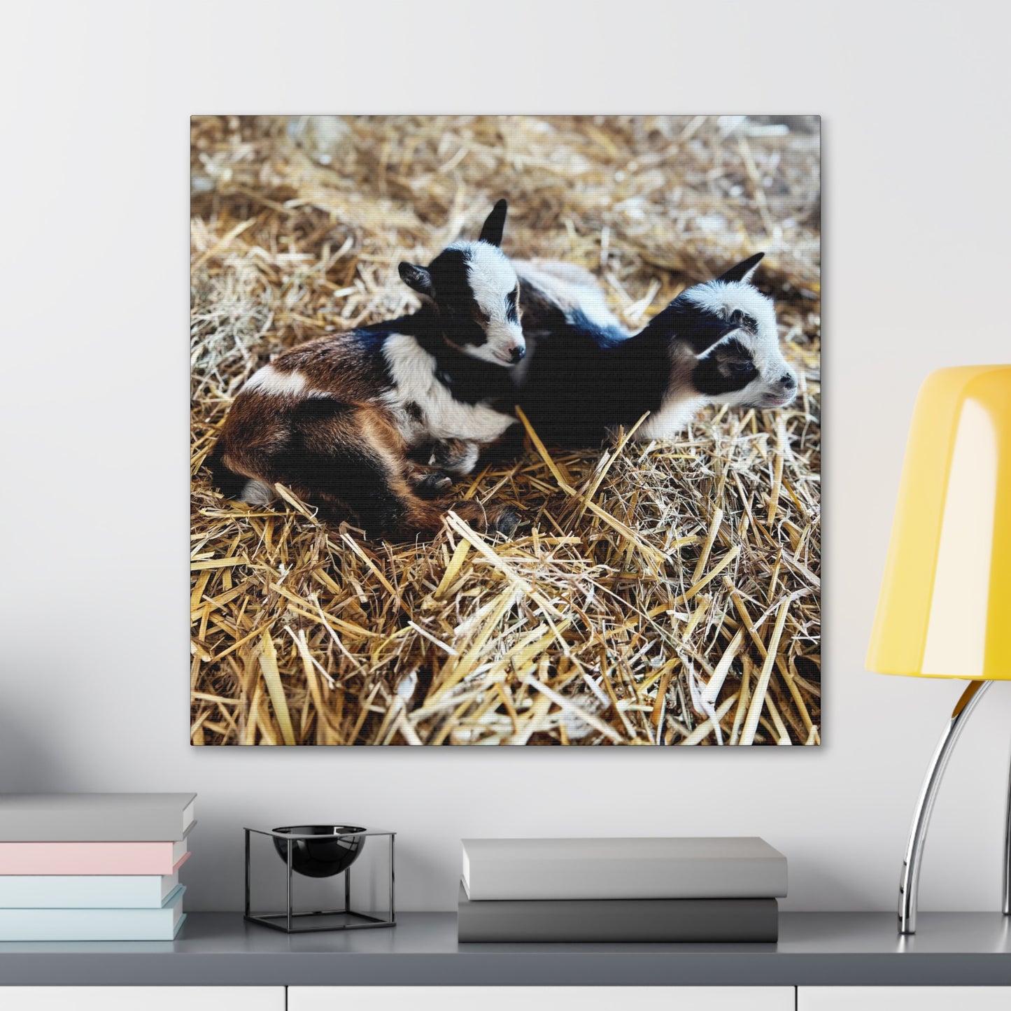 Goats - Gallery Canvas