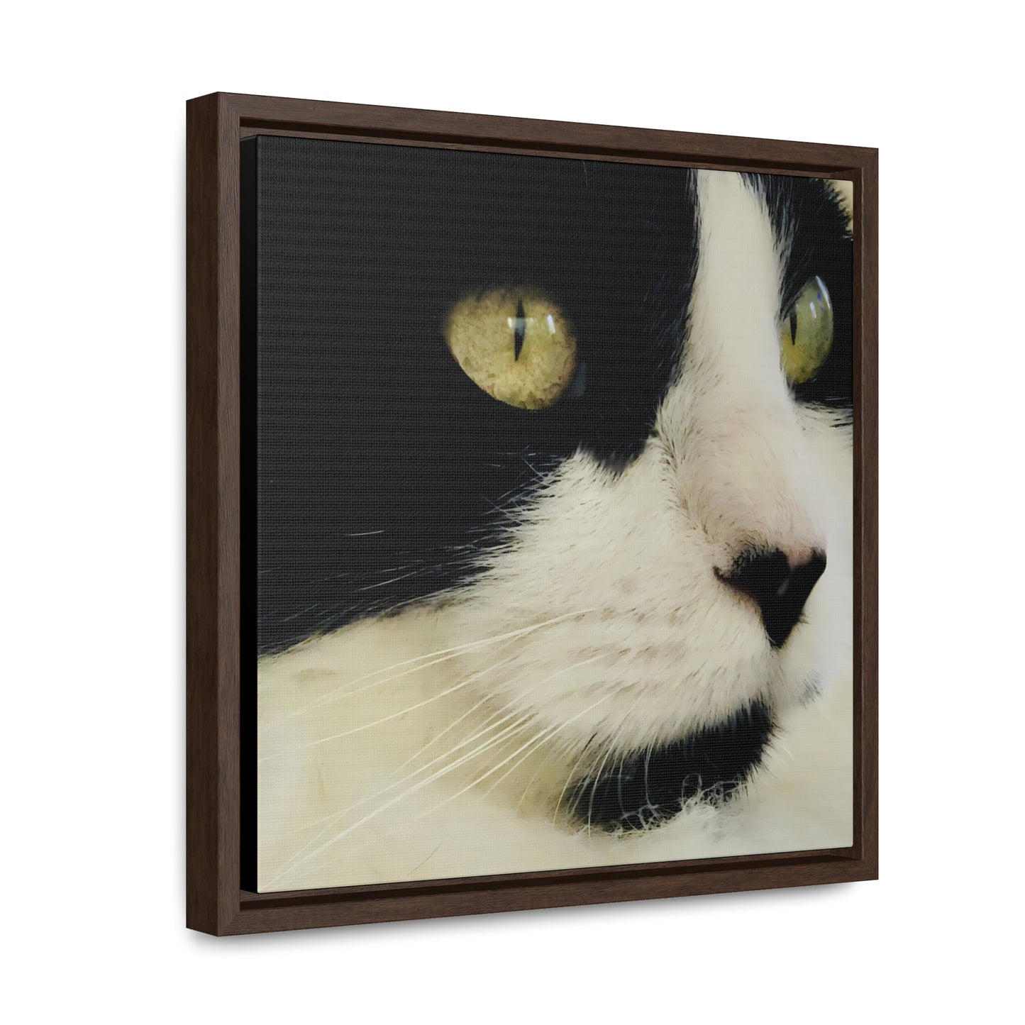Cat Eyes - Framed Gallery Canvas