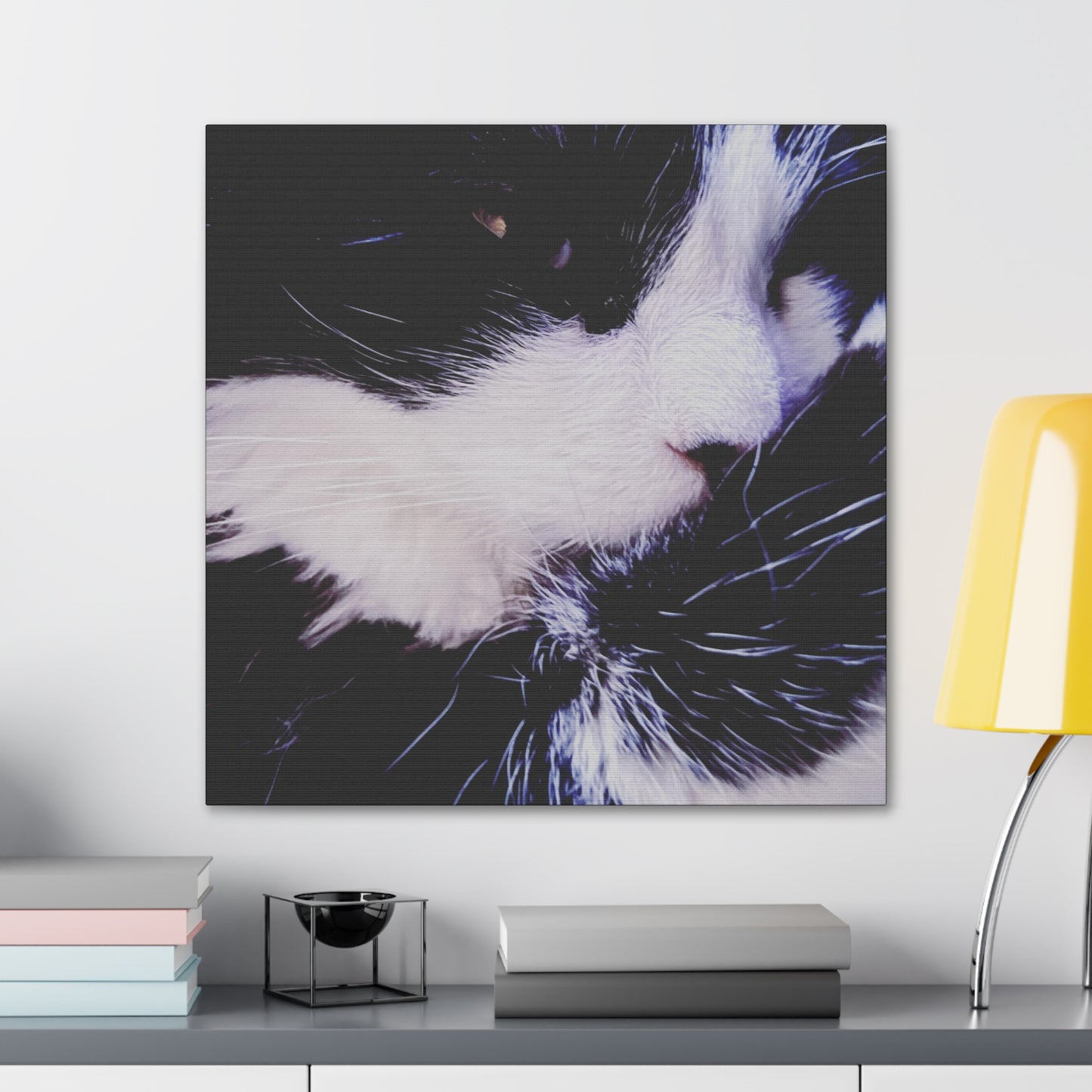 Cat Black and White - Gallery Canvas