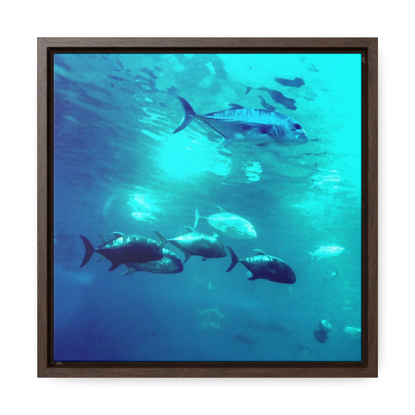 Fish Family - Framed Gallery Canvas