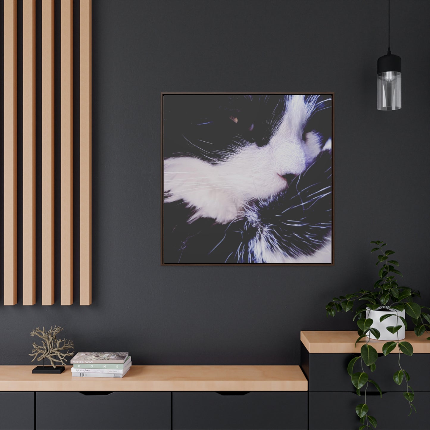 Cat Black and White - Framed Gallery Canvas