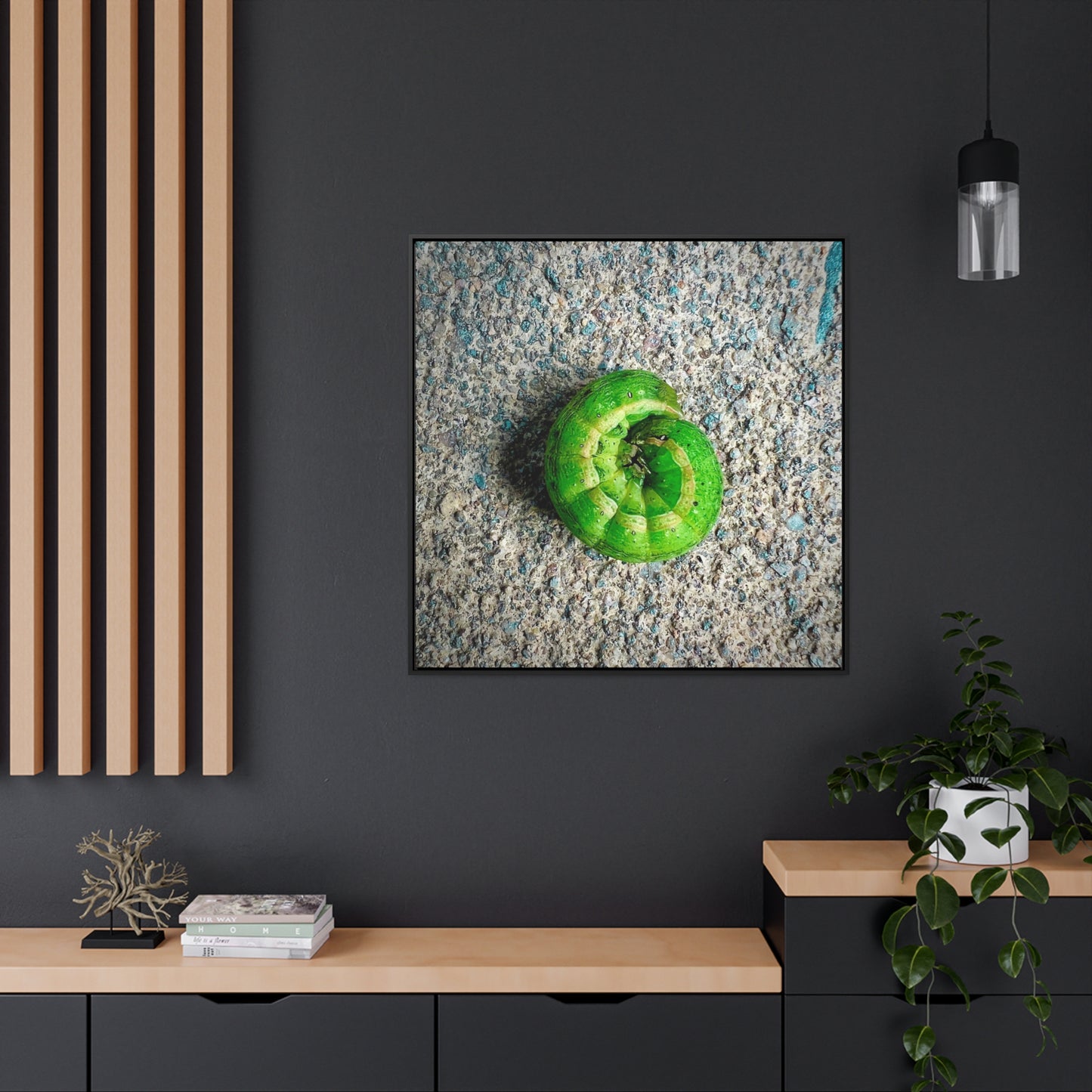 Green Caterpillar Circle Of Life - Framed Gallery Canvas