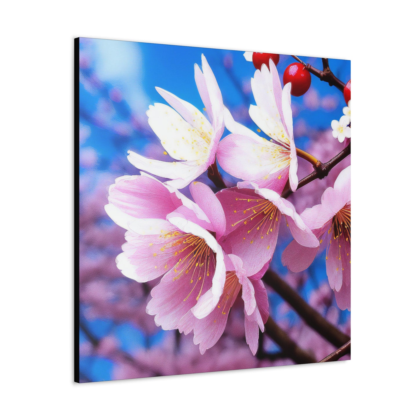 Cherry Blossom - Gallery Canvas