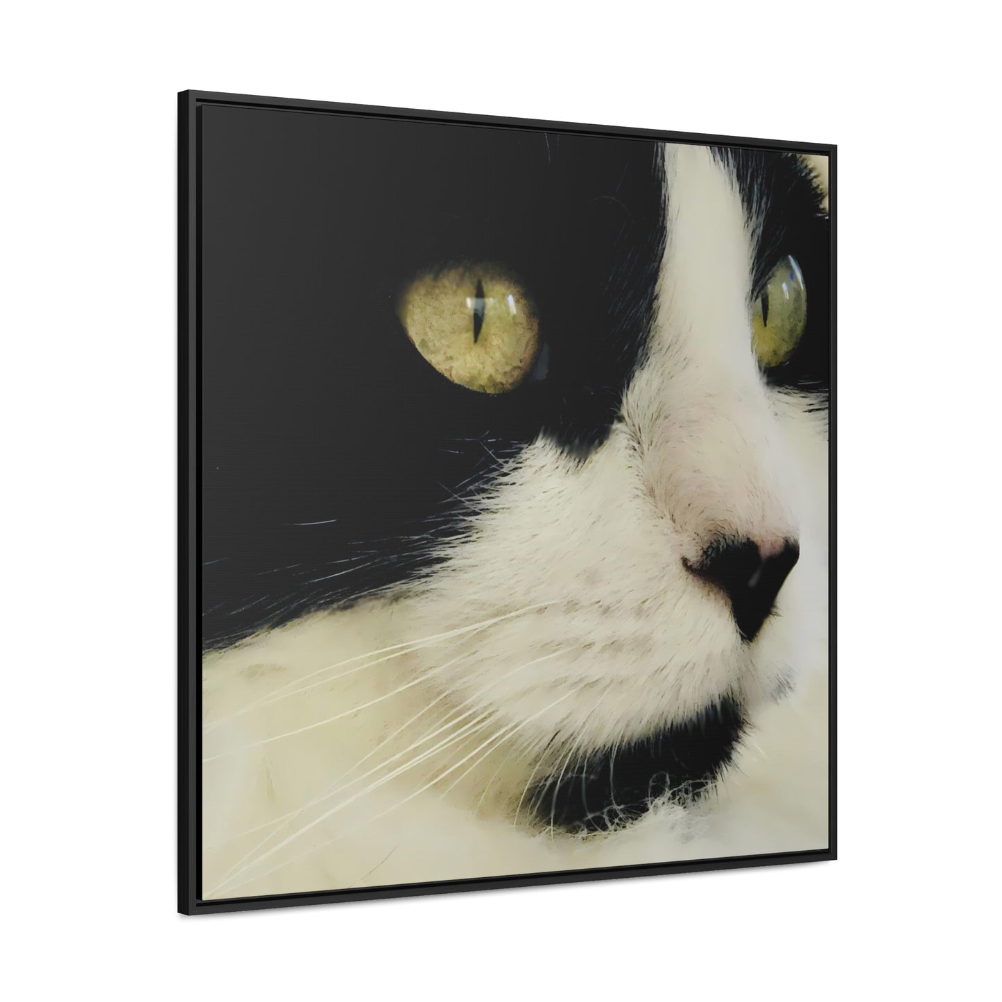 Cat Eyes - Framed Gallery Canvas